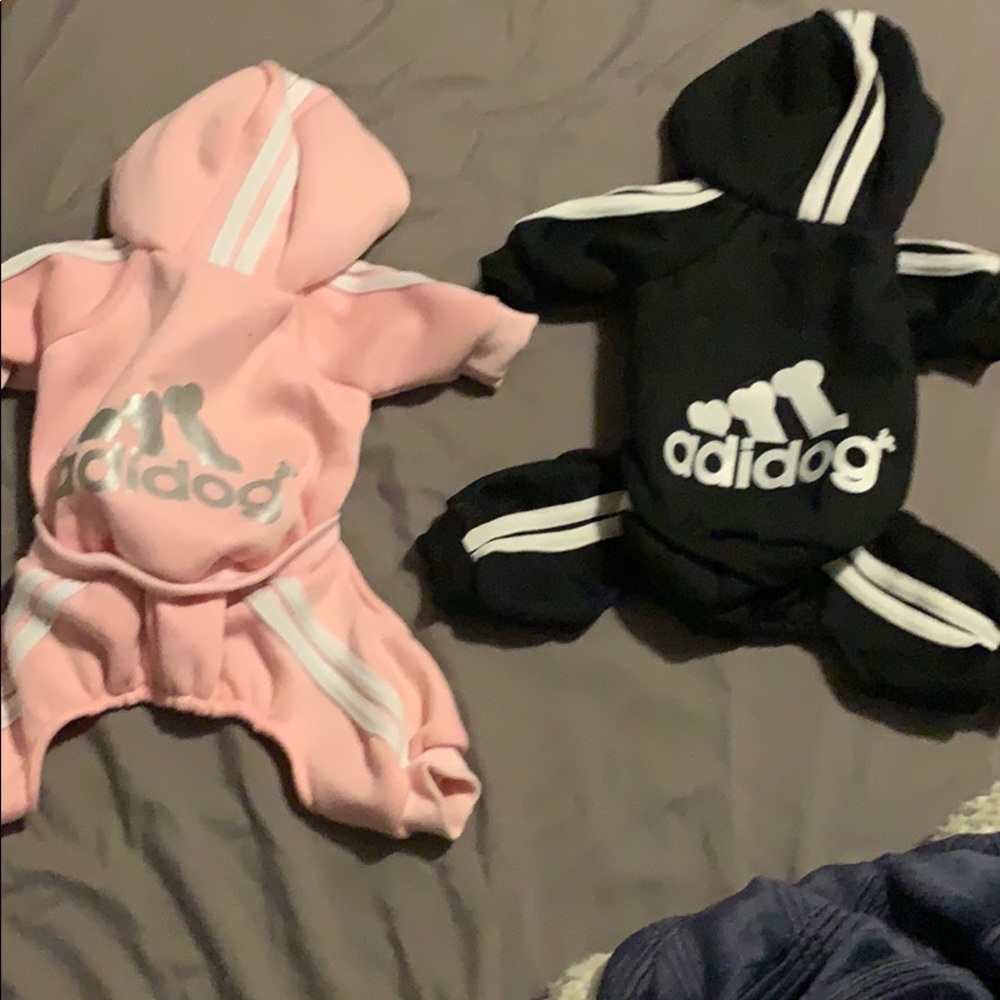 Dog sweatshirts